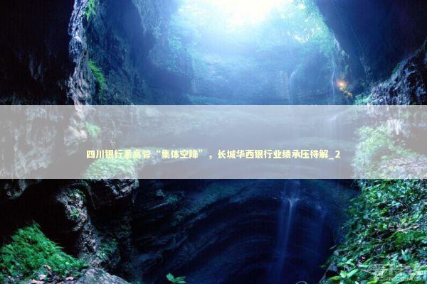 四川银行系高管“集体空降”，长城华西银行业绩承压待解_2