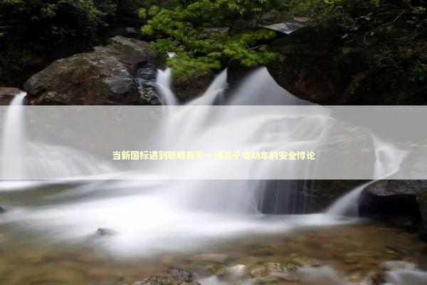 当新国标遇到聪明商家一场关于电动车的安全悖论