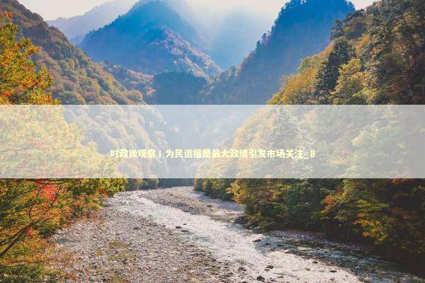 时政微观察丨为民造福是最大政绩引发市场关注_8