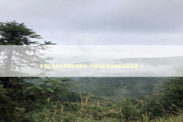 年轻人为何不再爱去电影院-95后电影爱好者的真实感受_4