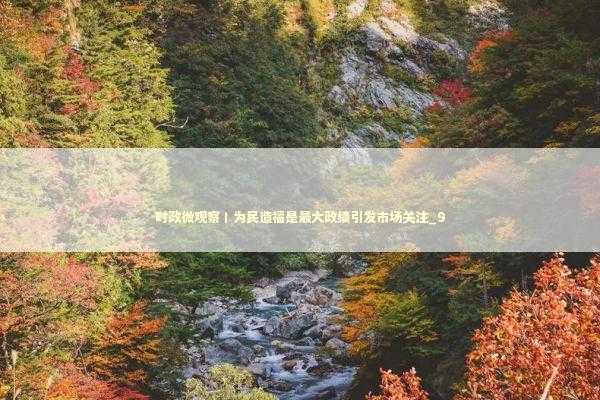 时政微观察丨为民造福是最大政绩引发市场关注_9