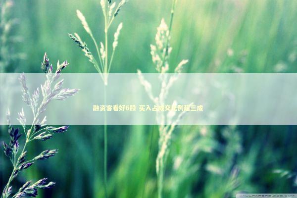 融资客看好6股 买入占成交比例超三成