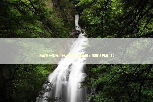 两会第一观察丨开局之年共谱新篇引发市场关注_13