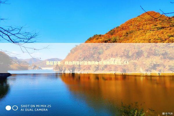 基层警事：铁血刑警的温情转身引发市场关注_13
