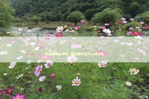 协鑫集成龙虎榜：营业部净买入5.08亿元