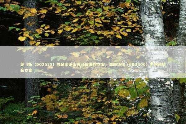 英飞拓（002528）股民索赔案再获得法院立案，海南华铁（603300）索赔再提交立案