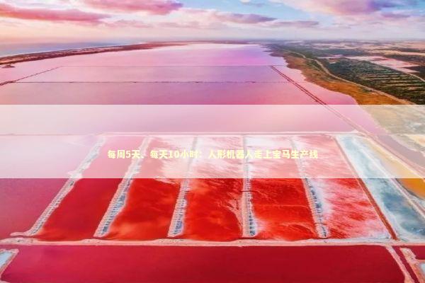 每周5天、每天10小时：人形机器人走上宝马生产线