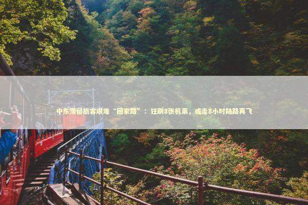 中东滞留旅客艰难“回家路”：狂刷8张机票，或走8小时陆路再飞