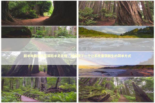 新手电脑突然蓝屏后手足无措，却发现了一个让系统重获新生的简单方式