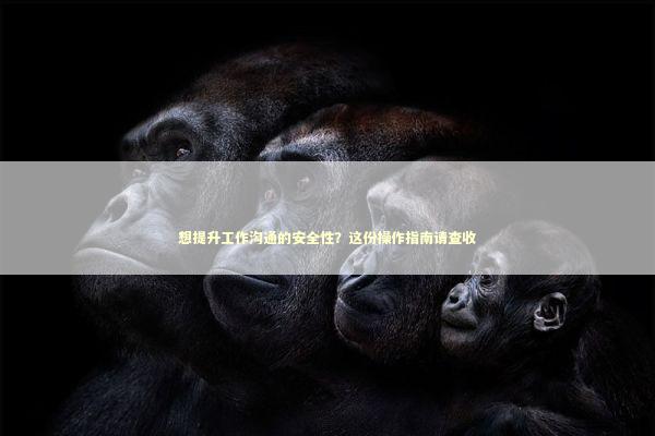 想提升工作沟通的安全性？这份操作指南请查收