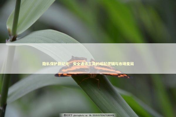 隐私保护新纪元：安全通讯工具的崛起逻辑与市场变局