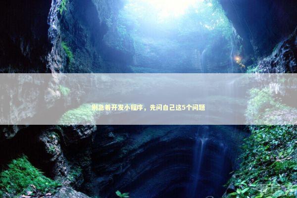 别急着开发小程序，先问自己这5个问题