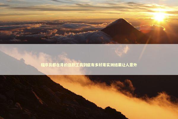程序员都在用的这款工具到底有多好用实测结果让人意外 程序员都在用的这款工具到底有多好用实测结果让人意外 IT技术